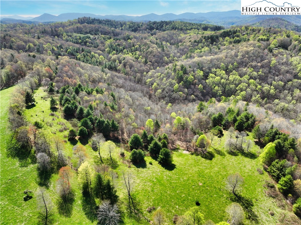 887 Todd Railroad Grade Road Boone, NC 28607 - Photo 8 of 34 Gallery Image 8