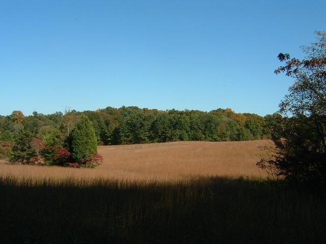 0 Houston Road Nashville, IN 47448 - Photo 3 of 11