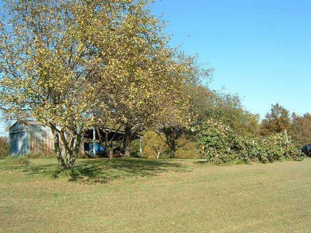 0 Houston Road Nashville, IN 47448 - Photo 10 of 11
