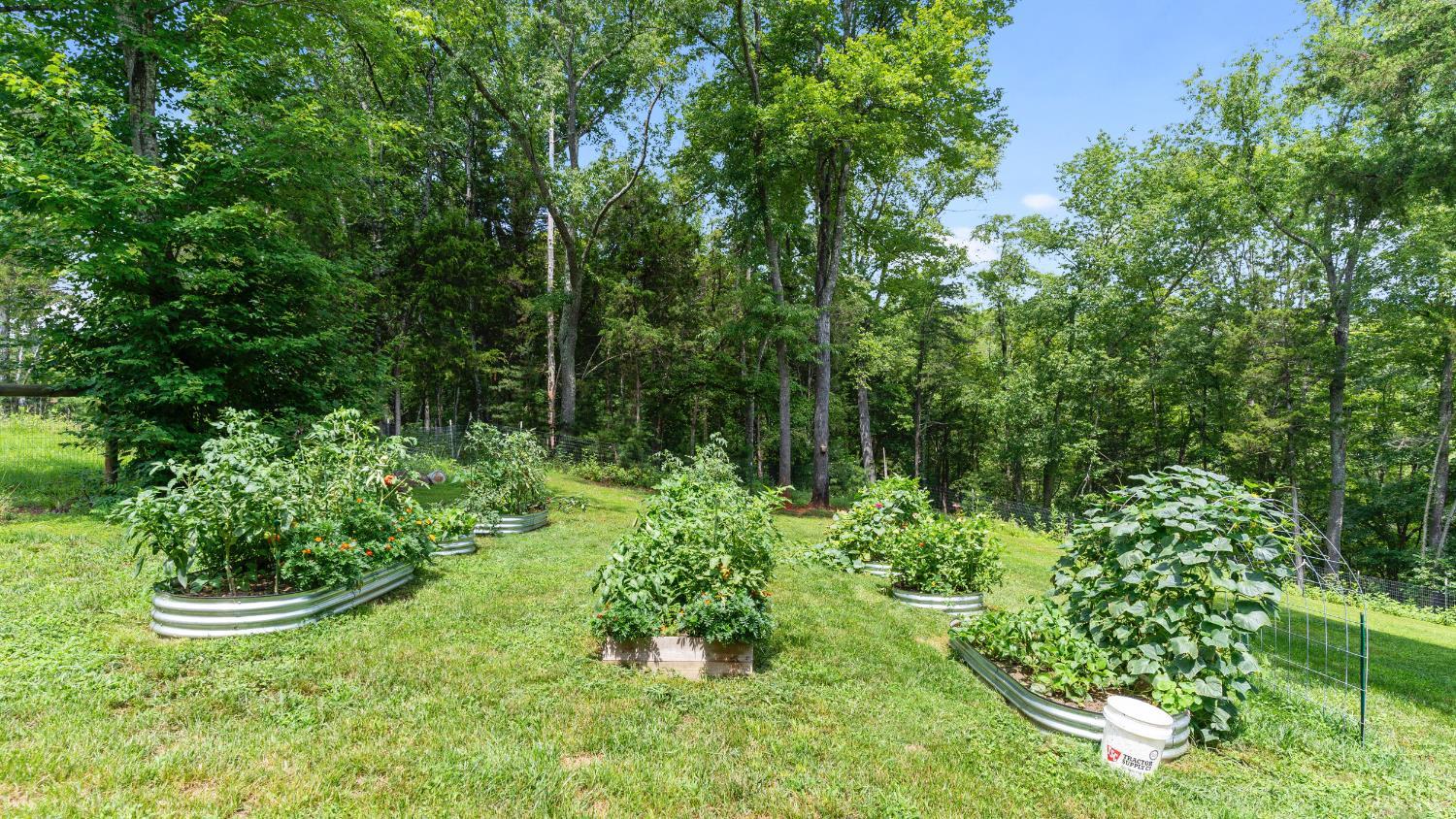 1194 Hamler Road Forest, VA 24551 - Photo 44 of 57 Gallery Image 44