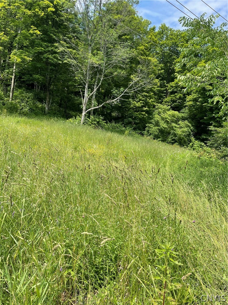 5140 North North Tower Road Truxton, NY 13158 - Photo 17 of 18