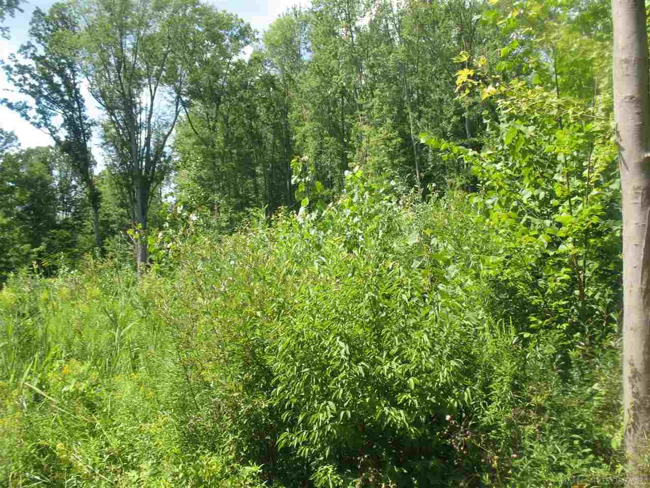 0 County Line Road New Haven, MI 48050 - Photo 2 of 5