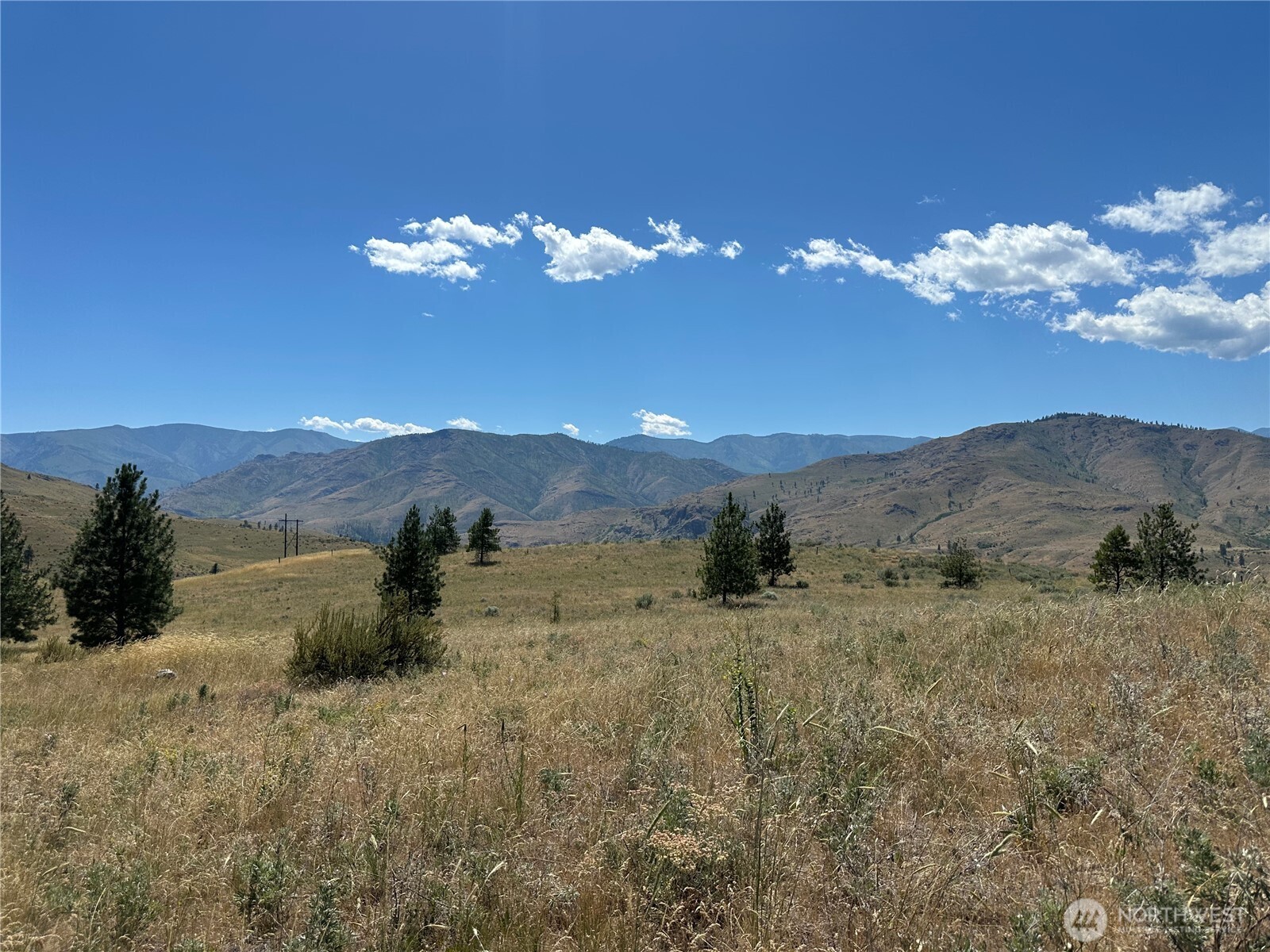 -tbd Peterson Rnch Road Pateros, WA 98846 - Photo 1 of 20 a view of a yard with an outdoor space