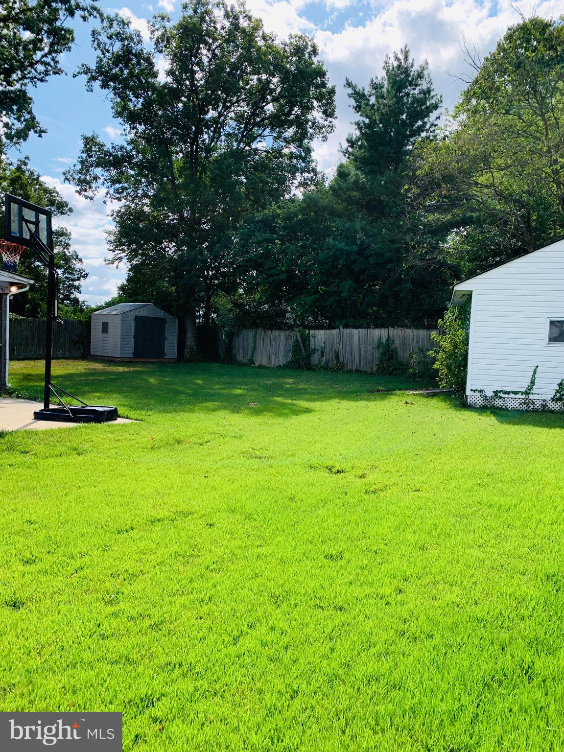 5902 Flanders Street Springfield, VA 22150 - Photo 42 of 45 Beautiful view of backyard.
