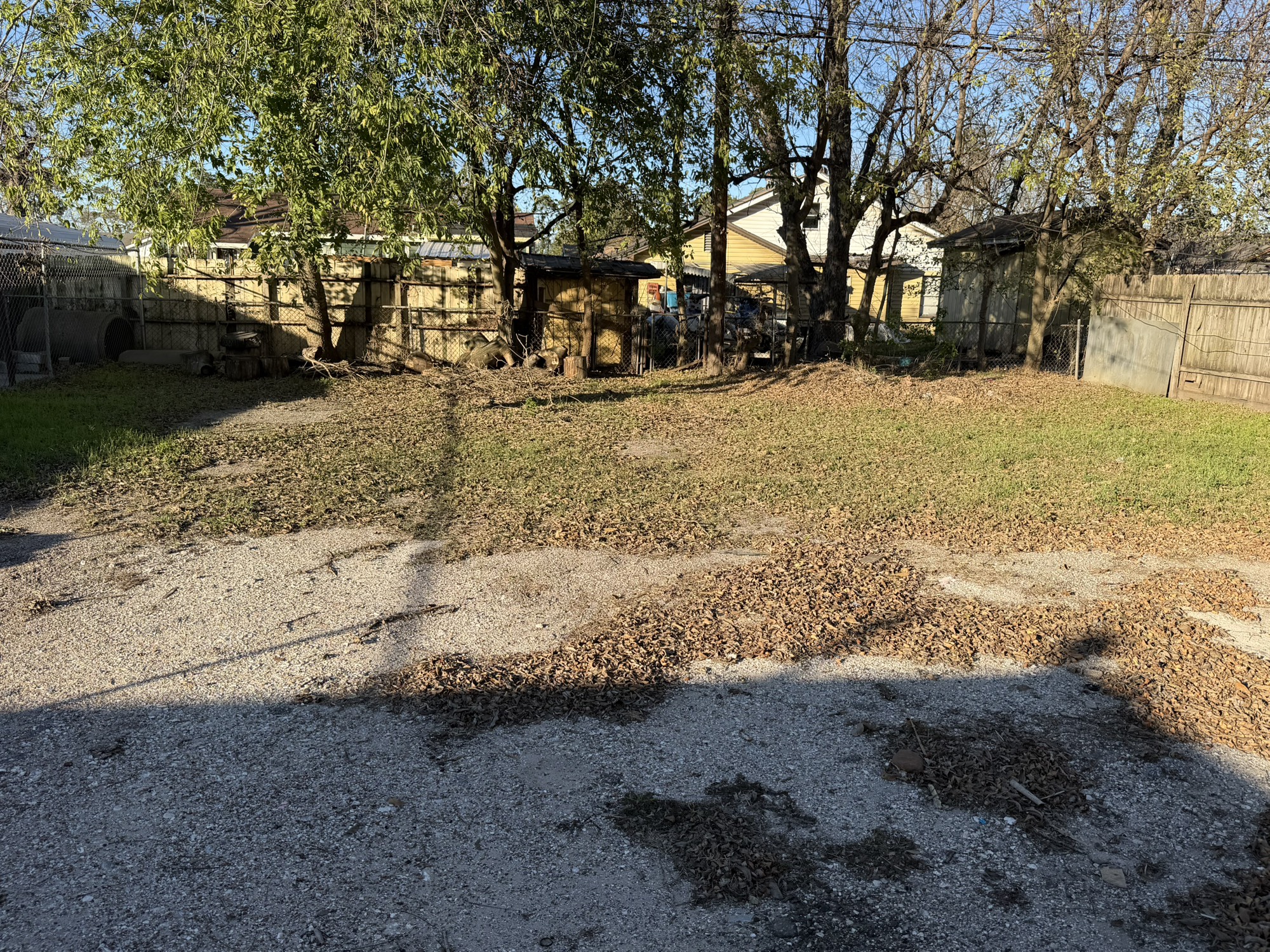 3123 Bennington Street Houston, TX 77093 - Photo 6 of 19 Spacious back yard!