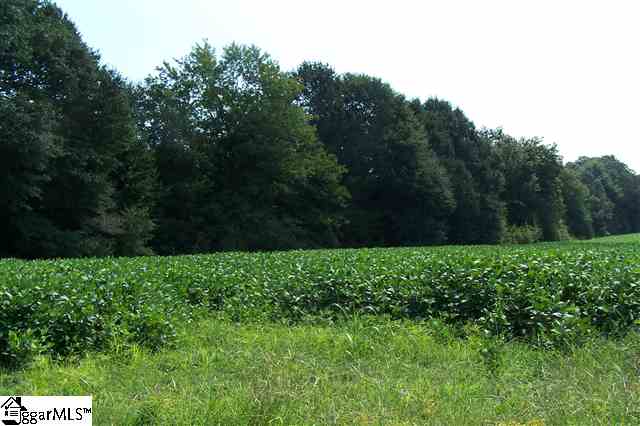 1442-1446 Breazeale Road Easley, SC 29640 - Photo 3 of 7