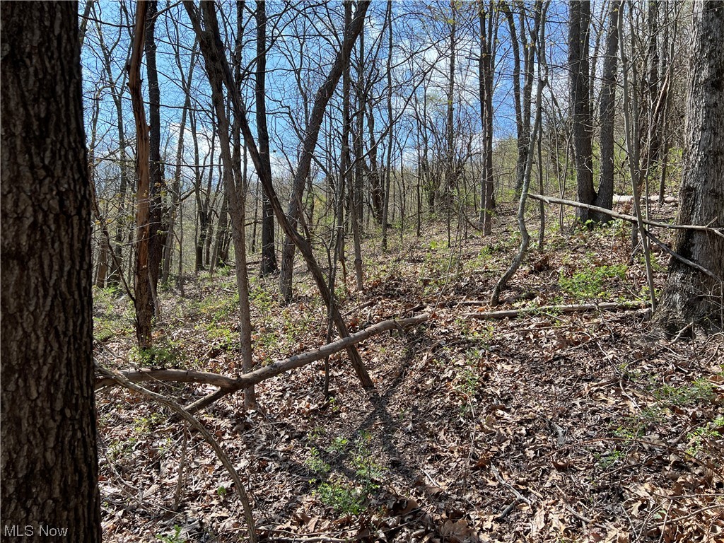 Southwest Post Boy Road Newcomerstown, OH 43832 - Photo 8 of 26 Gallery Image 8