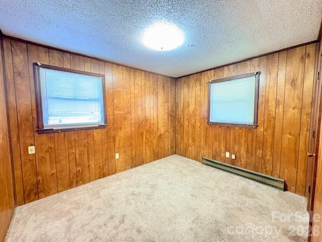 1076 Browning View Road Morganton, NC 28655 - Photo 11 of 19