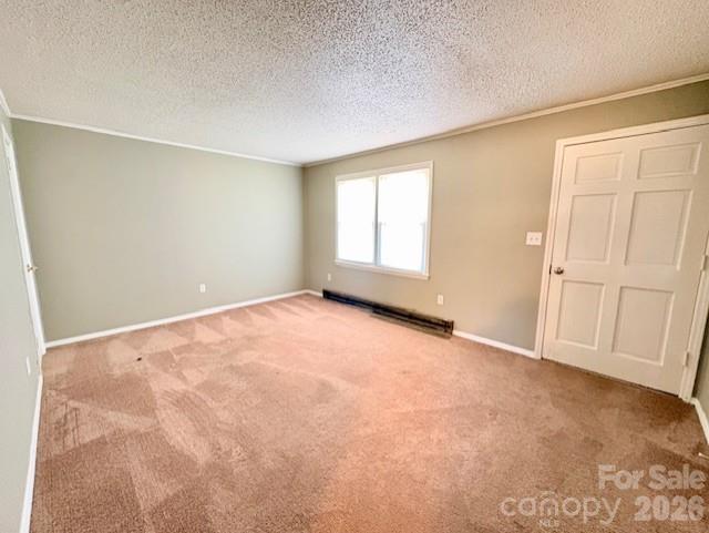 1076 Browning View Road Morganton, NC 28655 - Photo 9 of 19