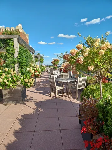 a view of a patio with table and chairs potted plants