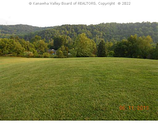 240 Forest View Drive Ripley, WV 25271 - Photo 3 of 16 Yard/Garden.
