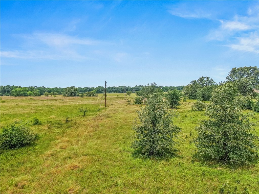 7015 C6 Ranch Road Bryan, TX 77808 - Photo 8 of 16