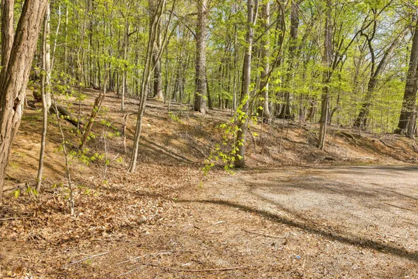 $31,000 | Lot 43 Old Barn Road, Moneta, VA 24121