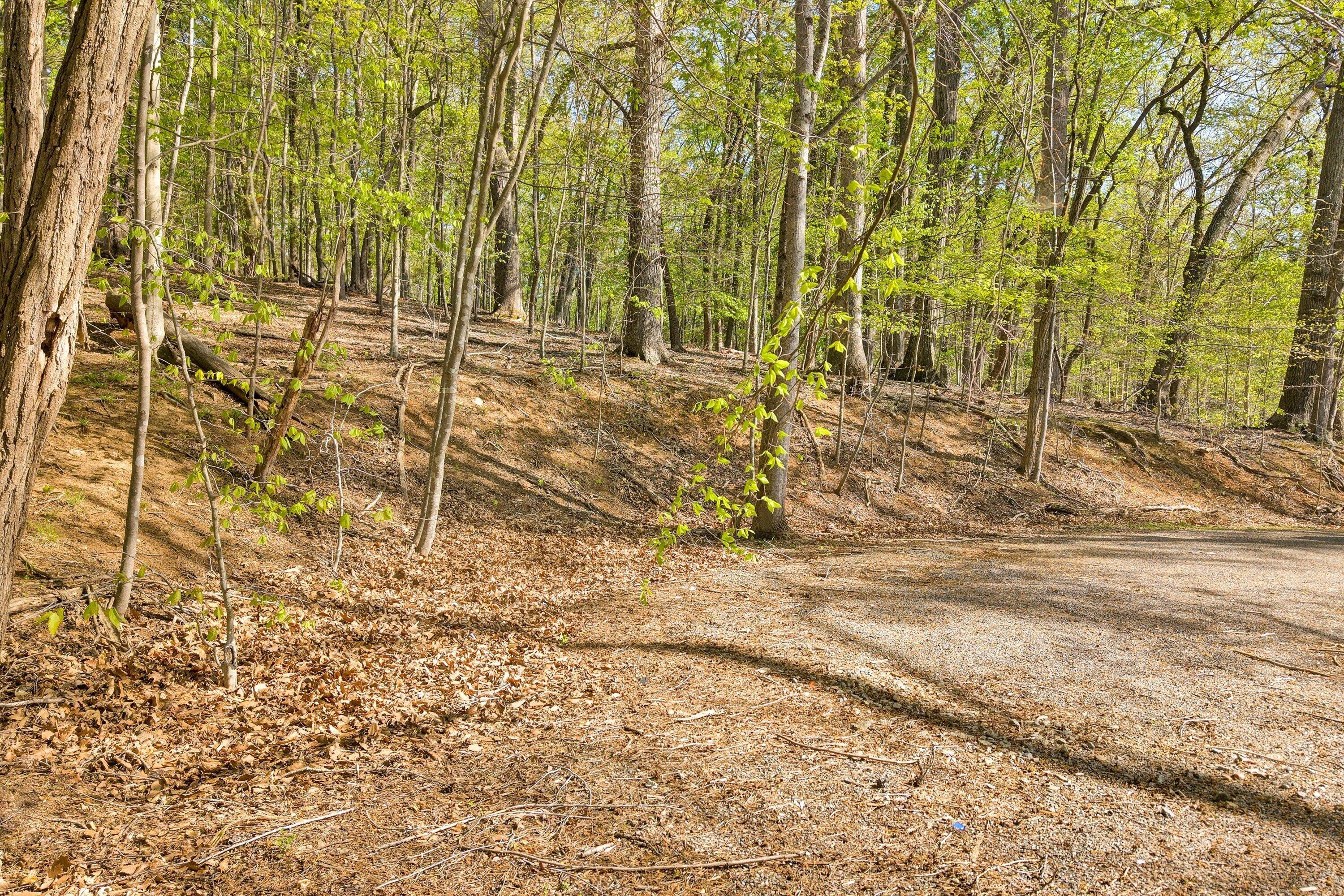 Lot 43 Old Barn Road (3)