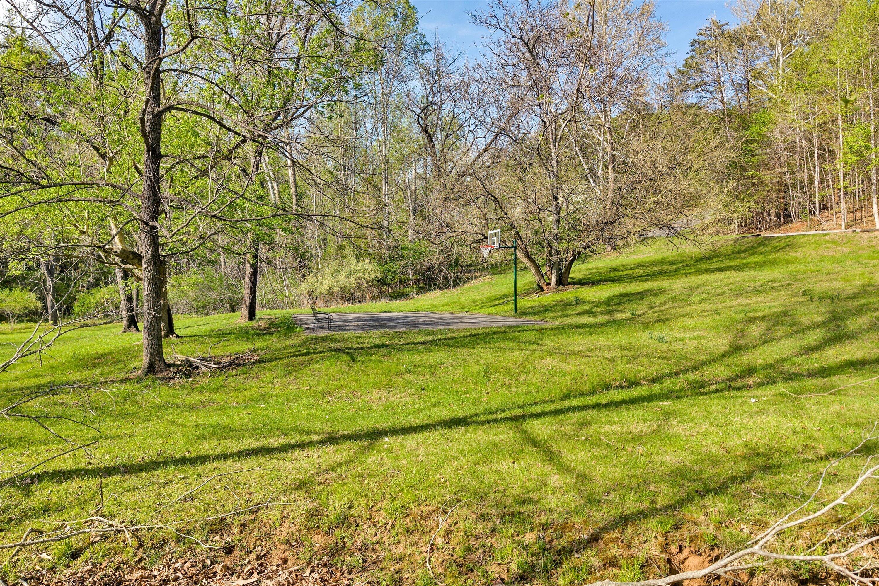 Lot 43 Old Barn Road Moneta, VA 24121 - Photo 19 of 26 19-8-08-Community Park