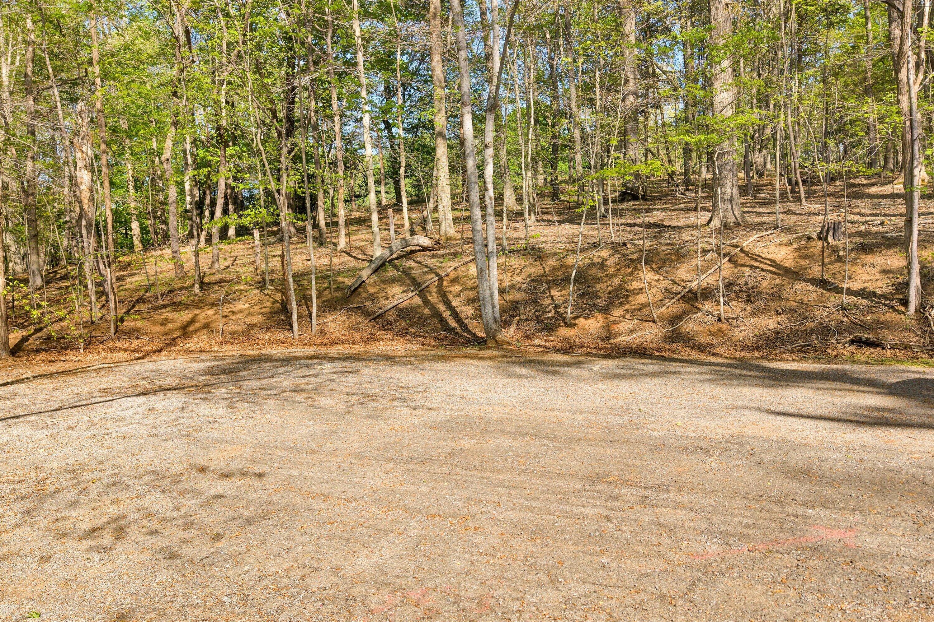 Lot 43 Old Barn Road Moneta, VA 24121 - Photo 2 of 26 Lot 43 Old Barn Road (4)