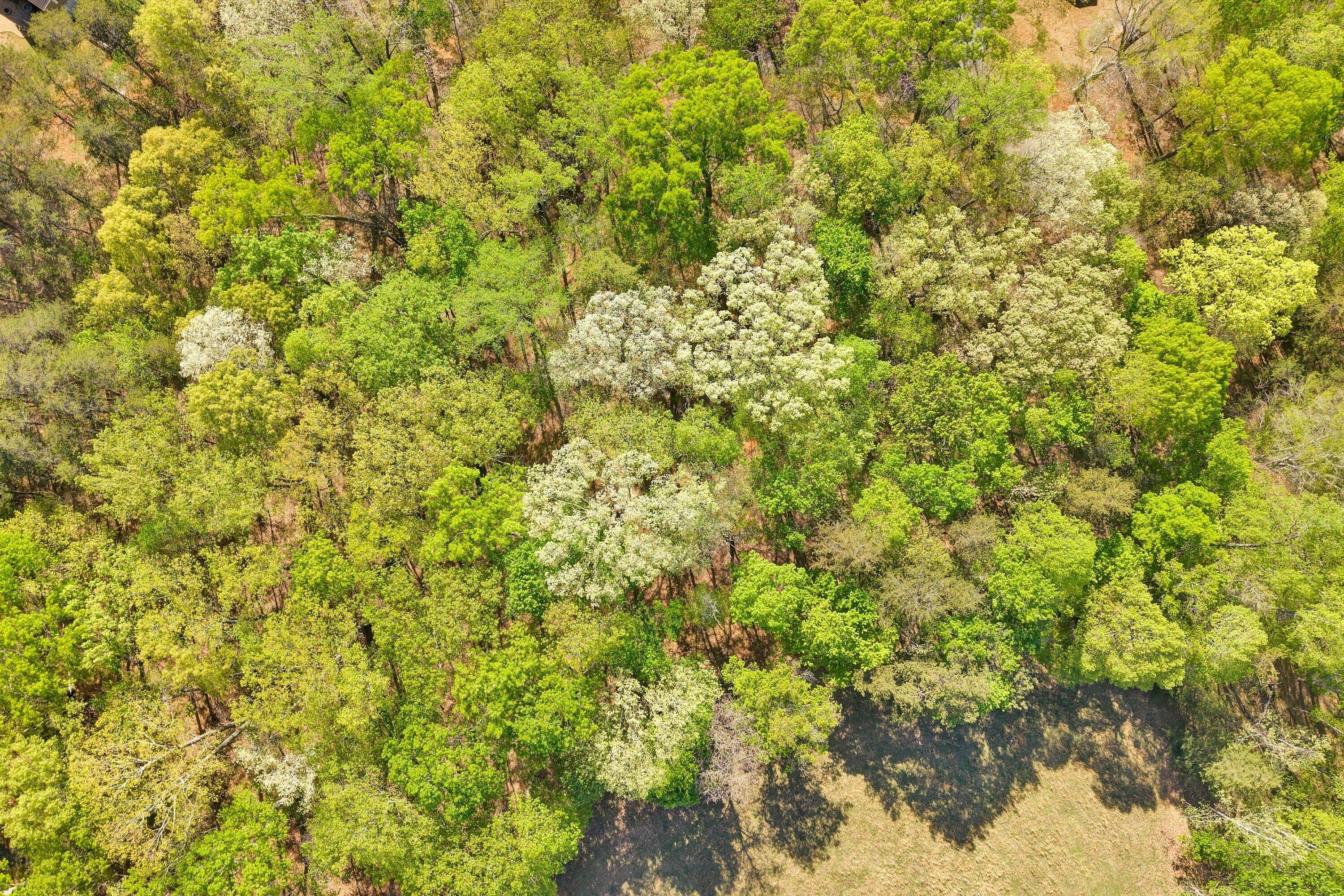 Lot 43 Old Barn Road Moneta, VA 24121 - Photo 3 of 26 Lot 43 Old Barn Road (1)