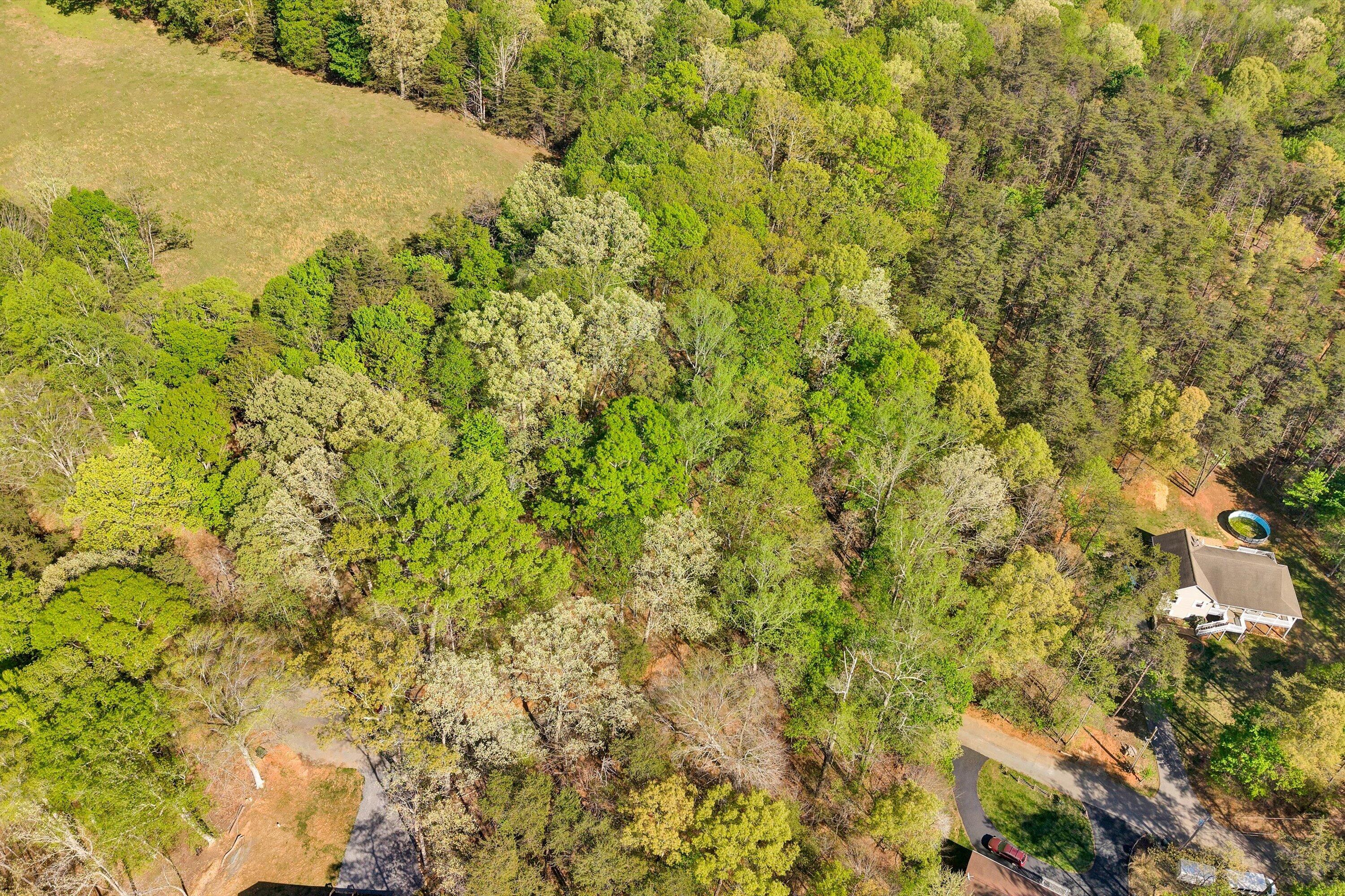 Lot 43 Old Barn Road Moneta, VA 24121 - Photo 6 of 26 Lot 43 Old Barn Road (5)