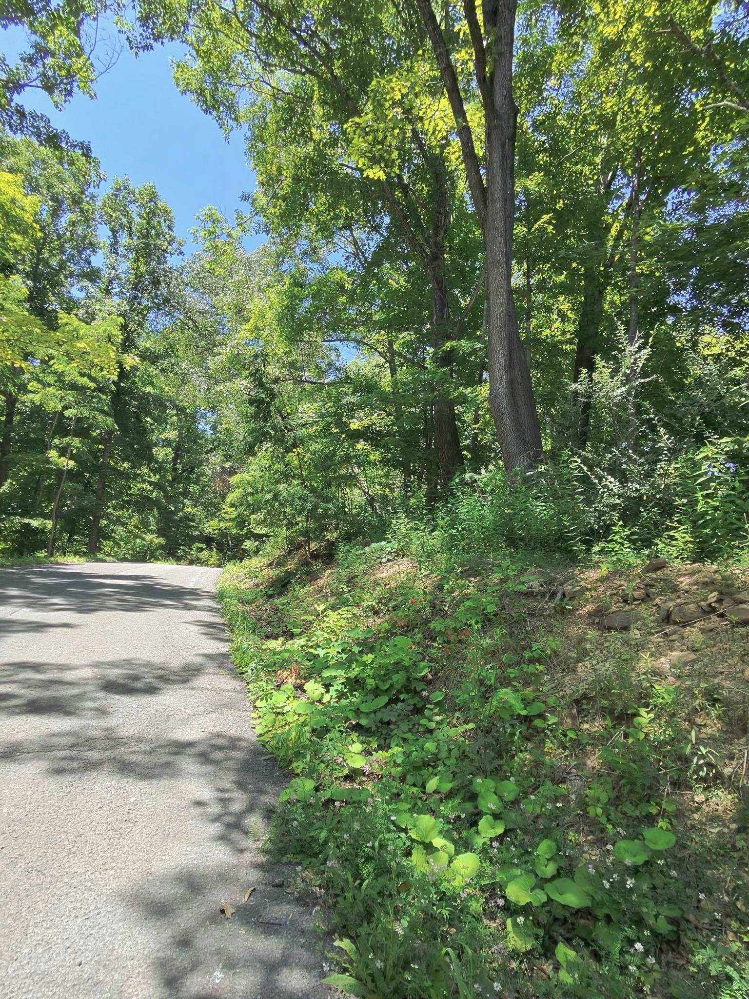 Tbd Osborne Mountain Road Raven, VA 24639 - Photo 20 of 27 Gallery Image 20