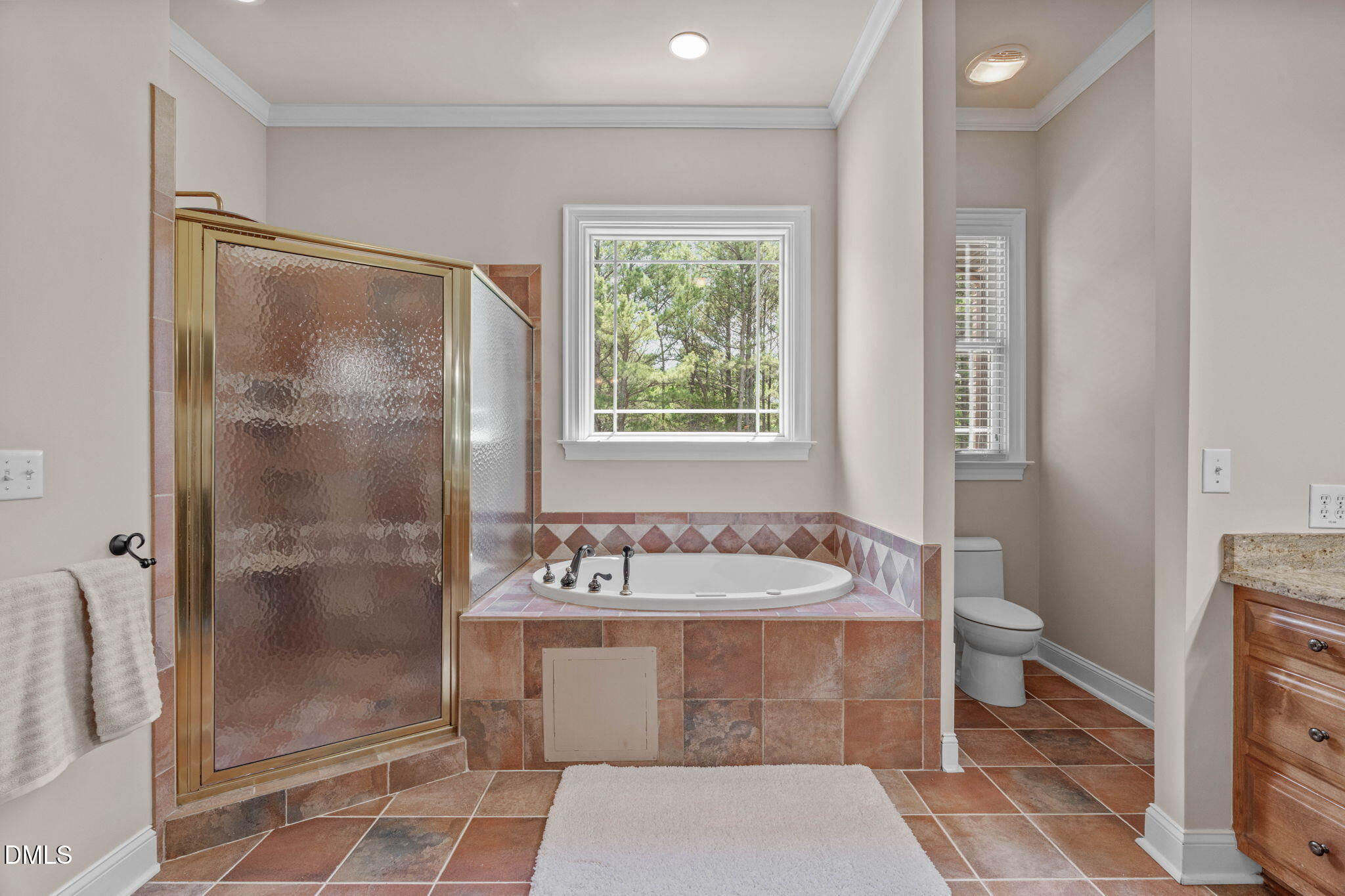 10917 Jordan Road Raleigh, NC 27603 - Photo 22 of 58 a bathroom with a sink a toilet a glass door shower and mirror
