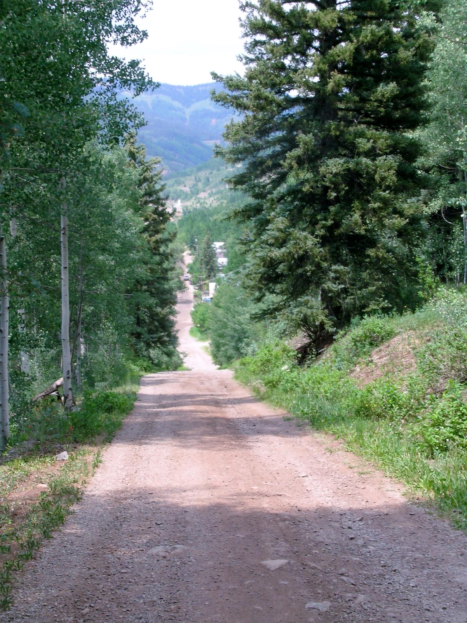 Tbd South Silver Street Rico, CO 81332 - Photo 15 of 24 a view of a yard
