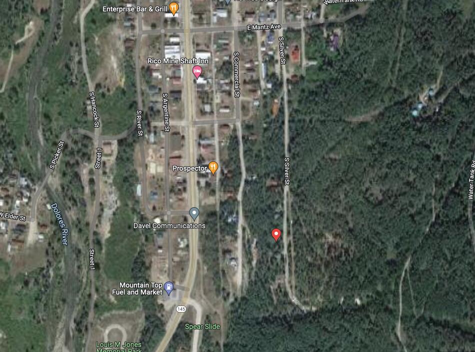 Tbd South Silver Street Rico, CO 81332 - Photo 18 of 24 a close up of a plant in a forest