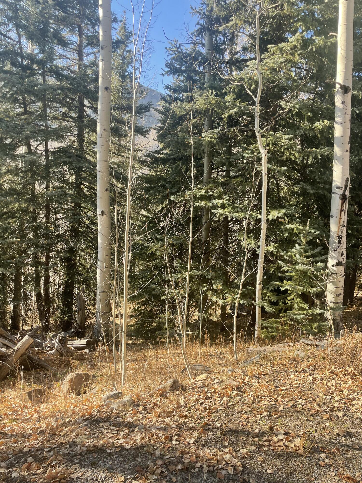 Tbd South Silver Street Rico, CO 81332 - Photo 22 of 24 a view of a pathway with a bathroom