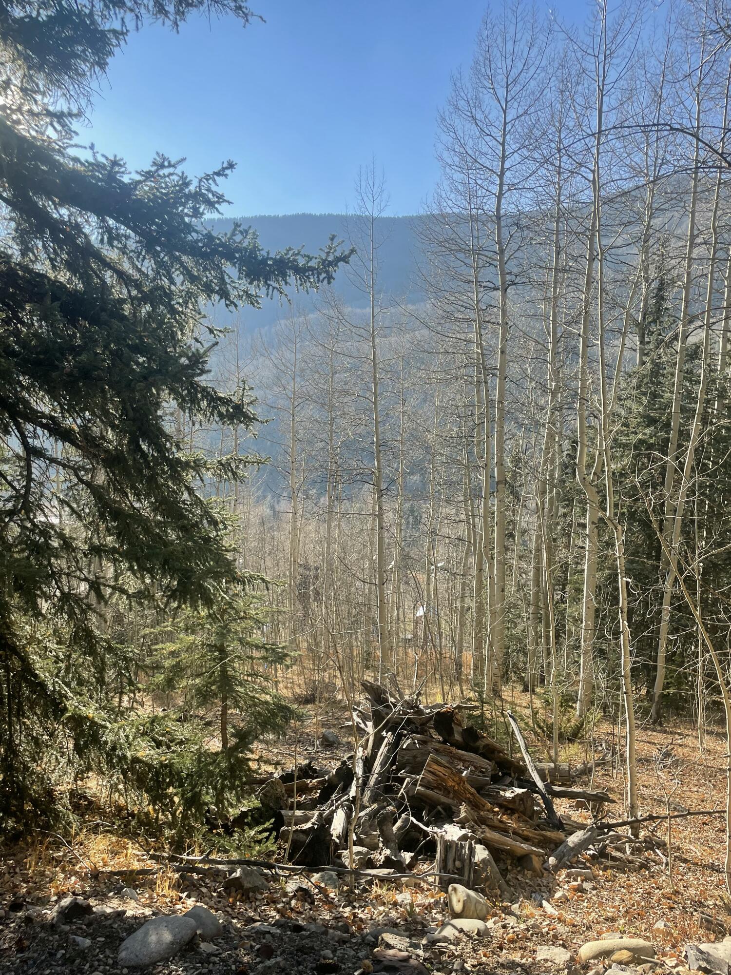 Tbd South Silver Street Rico, CO 81332 - Photo 23 of 24