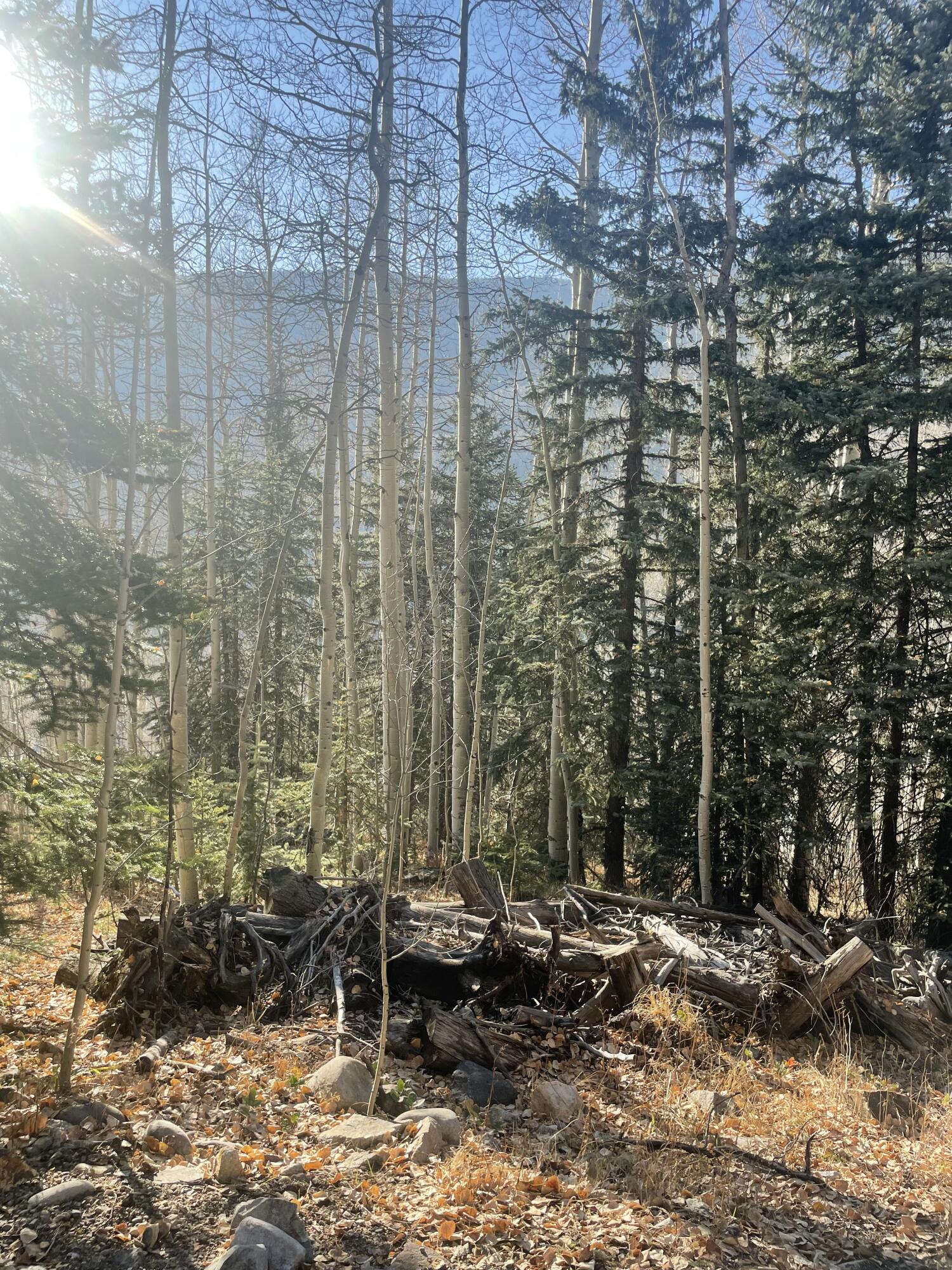 Tbd South Silver Street Rico, CO 81332 - Photo 24 of 24 a backyard of a house with outdoor seating