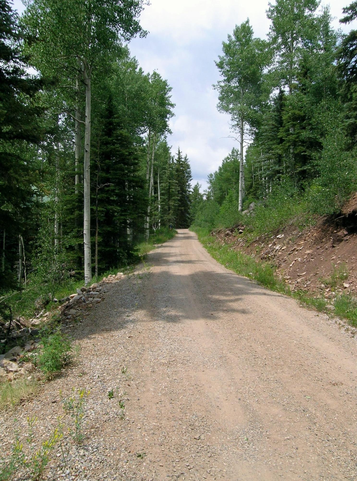 Tbd South Silver Street Rico, CO 81332 - Photo 4 of 24 a view of a road with trees in the background