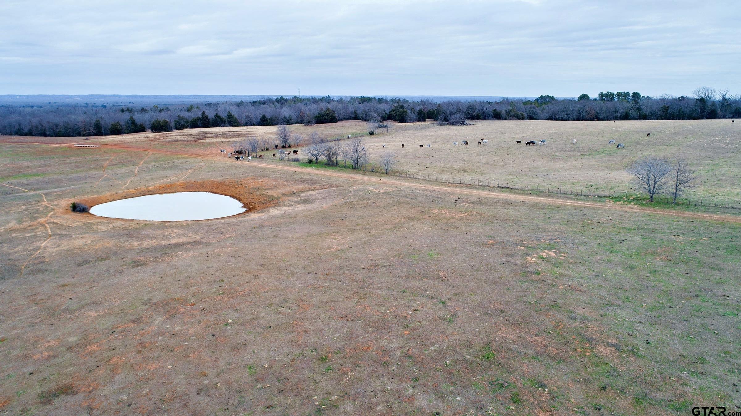 482 Lindale Tx  