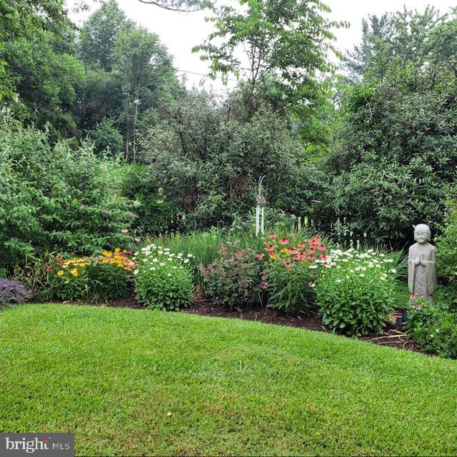 13706 Harcum Road Phoenix, MD 21131 - Photo 4 of 55 Gorgeous gardens