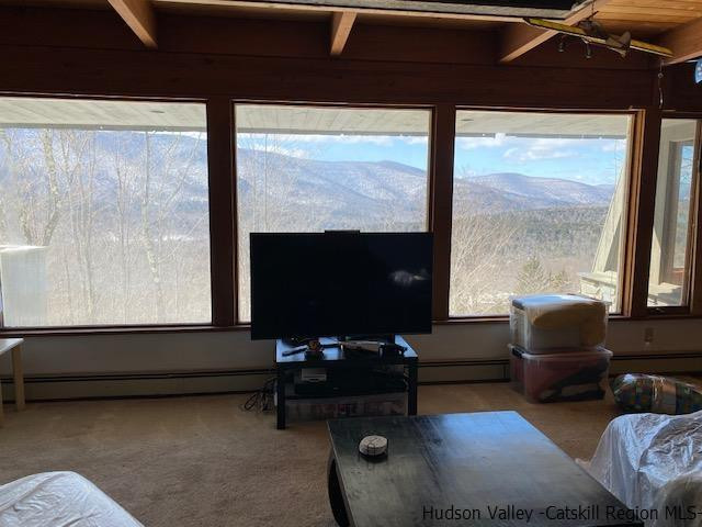 2159 Highway 296 Hunter, NY 12442 - Photo 14 of 35 Photo 14