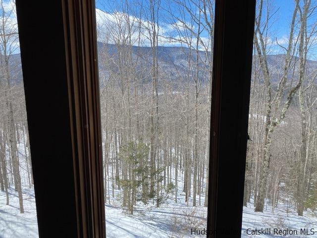 2159 Highway 296 Hunter, NY 12442 - Photo 22 of 35 Photo 22