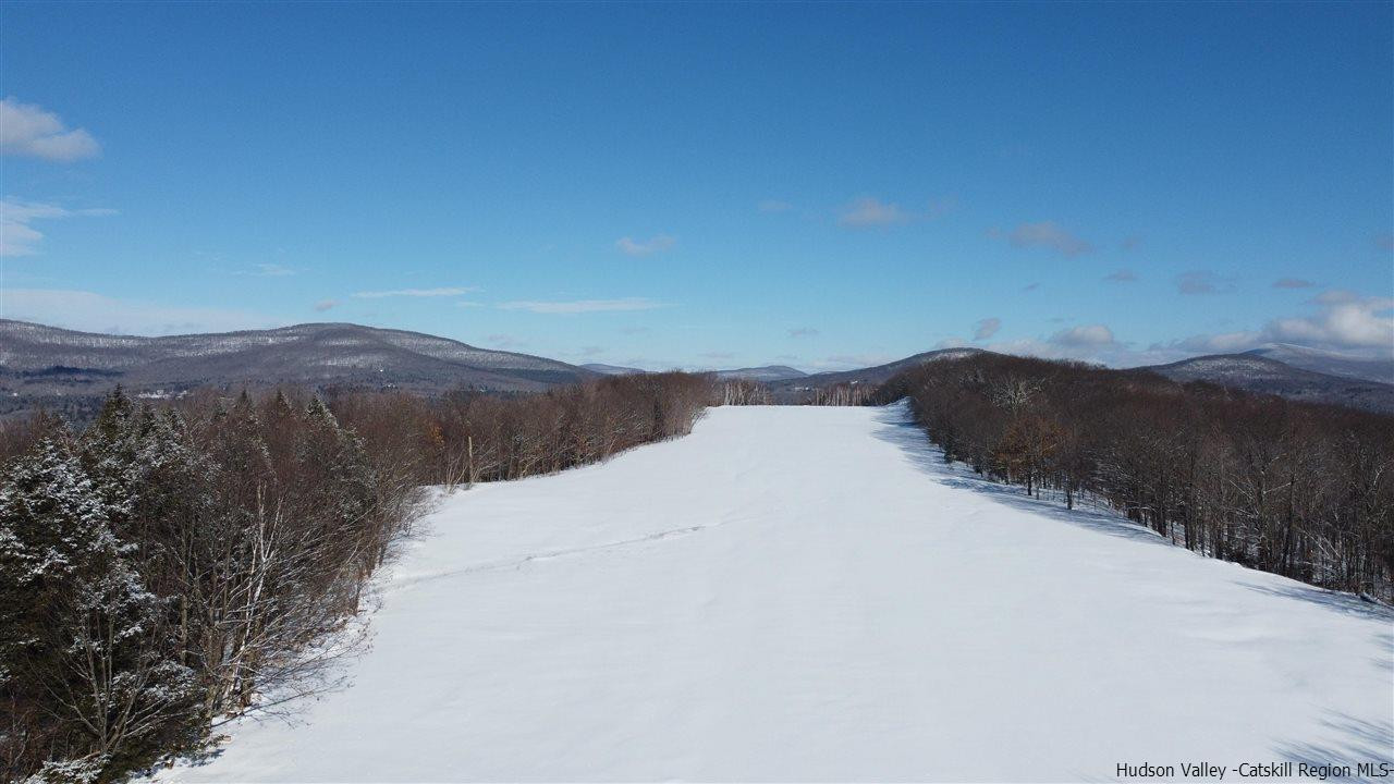 2159 Highway 296 Hunter, NY 12442 - Photo 27 of 35 Photo 27