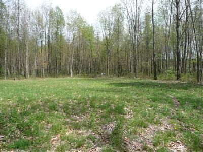31261 Timber Run Trail Colon, MI 49040 - Photo 3 of 10 Additional Photo