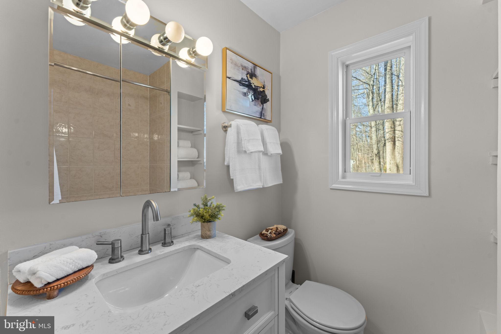 7448 Long Pine Drive Springfield, VA 22151 - Photo 24 of 40 a bathroom with a sink vanity mirror and toilet