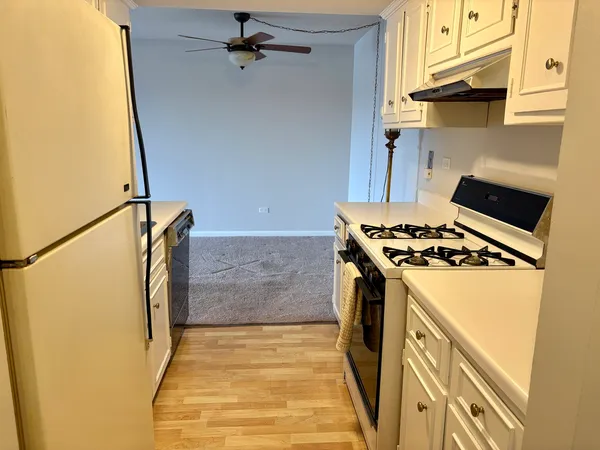 $215,000 | 505 Redondo Drive, Unit 407, Downers Grove, IL 60516