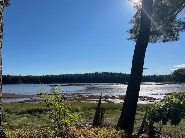 203 Garnet Head Road Pembroke, ME 04666 - Photo 1 of 92 IMG_6180