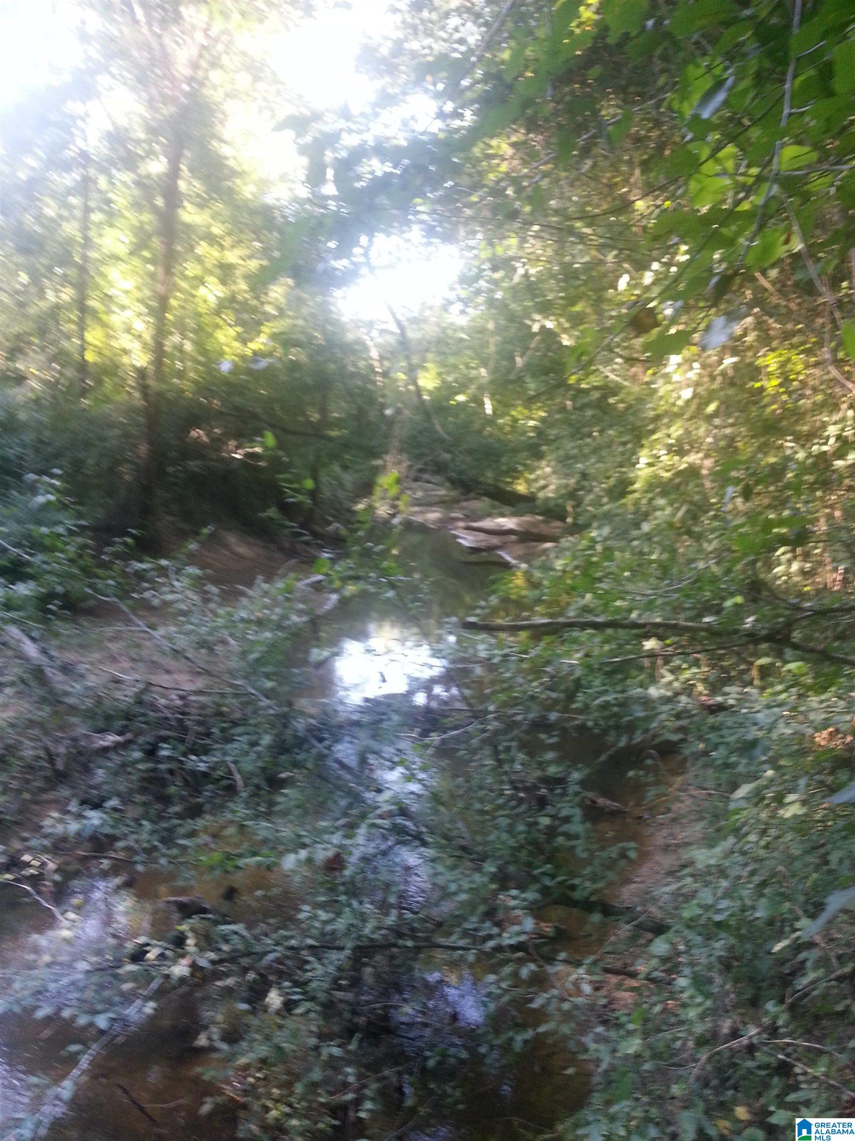 0 County Road 89 Fayette, AL 35555 - Photo 7 of 8