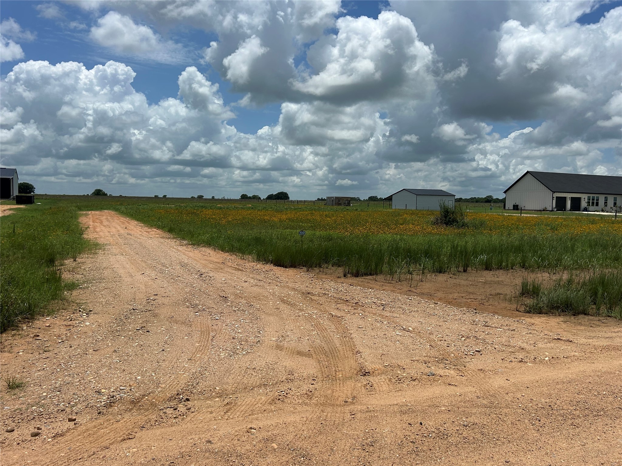 2995 Meier Road Sealy, TX 77474 - Photo 3 of 9