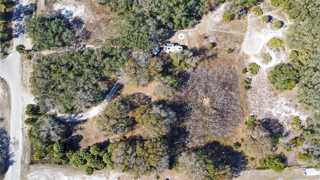 Oneida Drive Hudson, FL 34667 - Photo 3 of 11