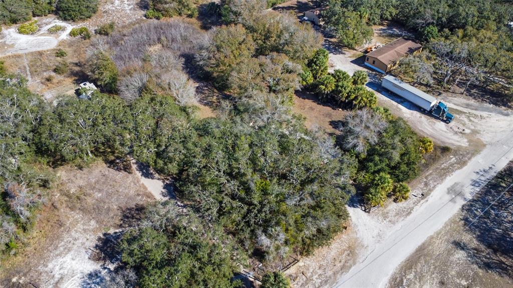 Oneida Drive Hudson, FL 34667 - Photo 7 of 11