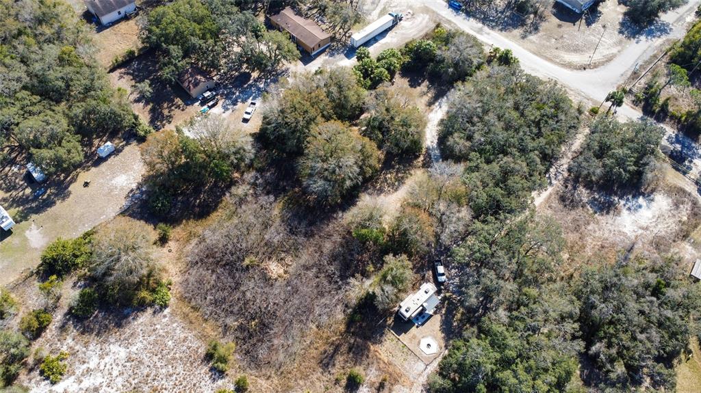 Oneida Drive Hudson, FL 34667 - Photo 8 of 11