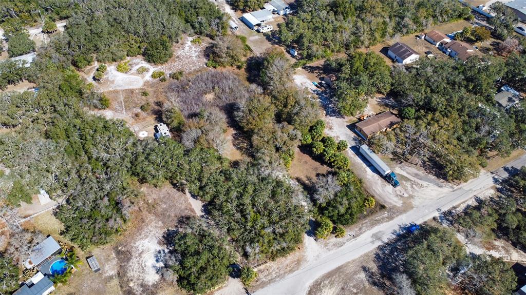 Oneida Drive Hudson, FL 34667 - Photo 9 of 11