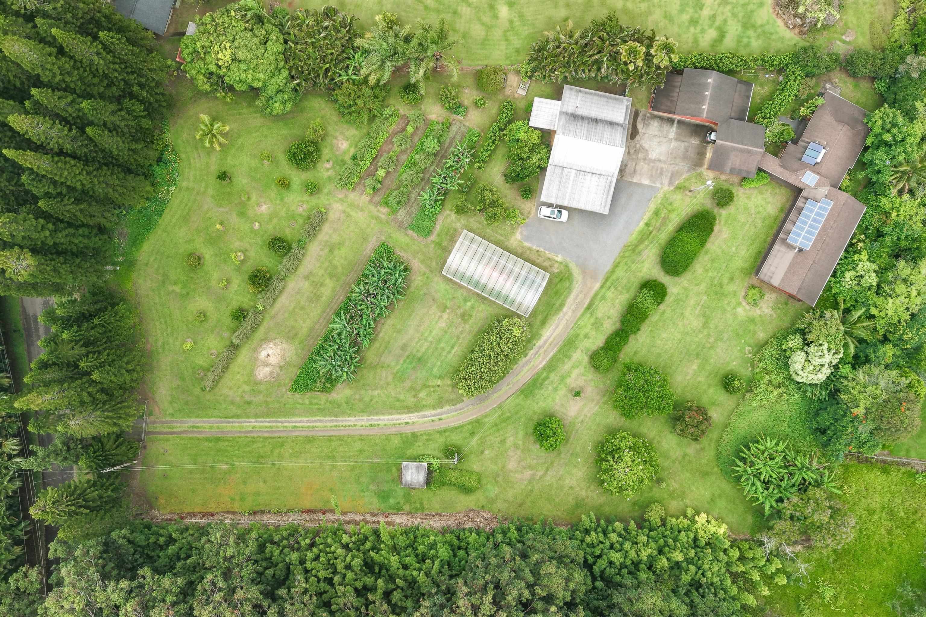 169 Waipalani Road Haiku, HI 96708 - Photo 50 of 50