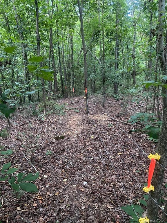 265 Pinecone Road Peachland, NC 28133 - Photo 30 of 35 a view of a forest with a trees