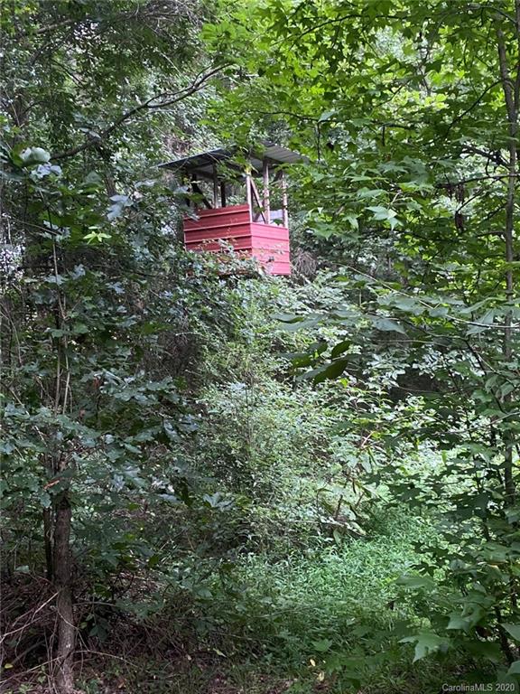 265 Pinecone Road Peachland, NC 28133 - Photo 31 of 35 a view of a small yard