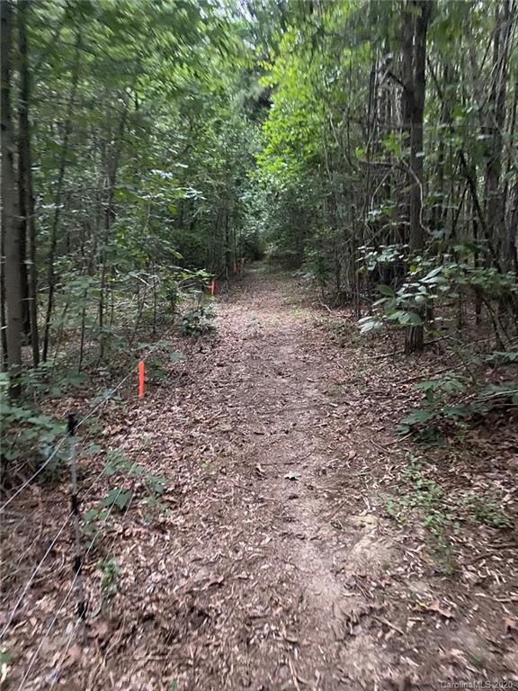 265 Pinecone Road Peachland, NC 28133 - Photo 32 of 35 a view of a forest with trees in the background
