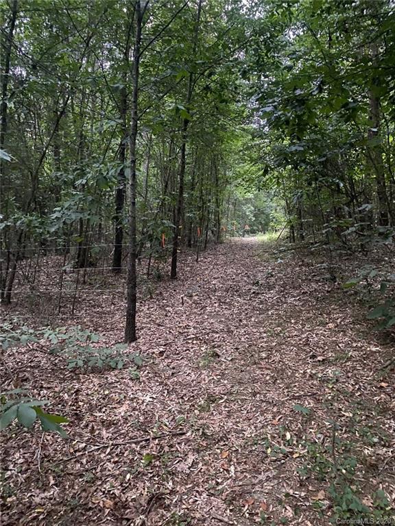 265 Pinecone Road Peachland, NC 28133 - Photo 33 of 35 a view of a forest with trees in the background